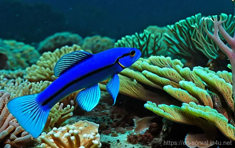 소말릴란드의 해양 생태계 - **Prompt:** "A majestic and serene underwater cinematic shot featuring marine megafauna in the deep ...