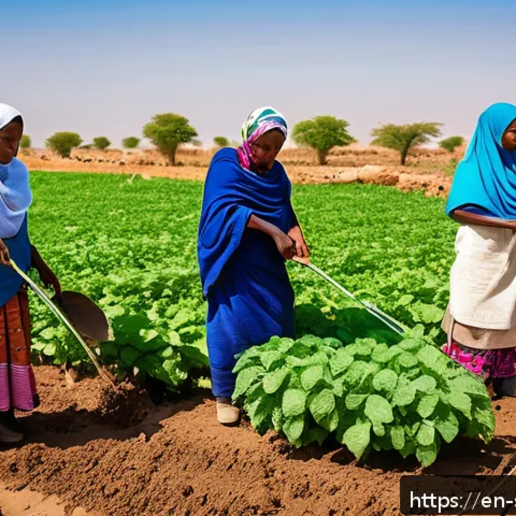 소말릴란드 카트 재배 및 영향 - A vibrant scene of Somaliland farmers working together in a sunny, arid landscape, demonstrating mod...